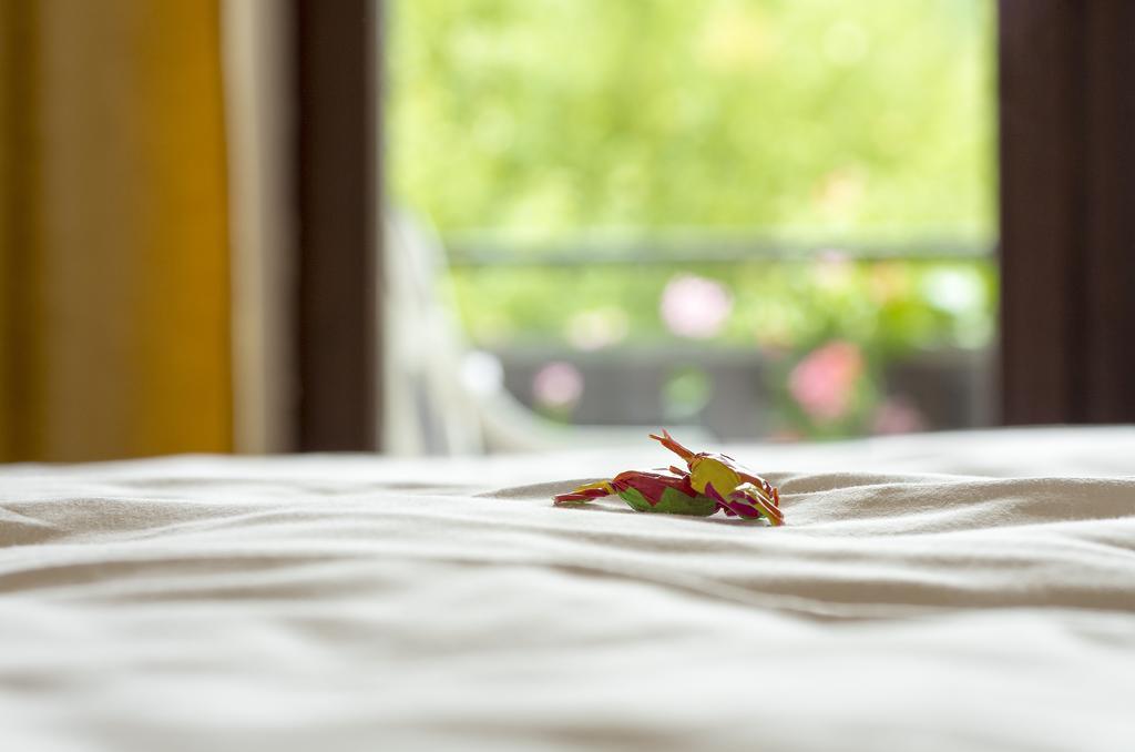 Gasthof & Landhotel Ohrnbachtal Weilbach Eksteriør billede