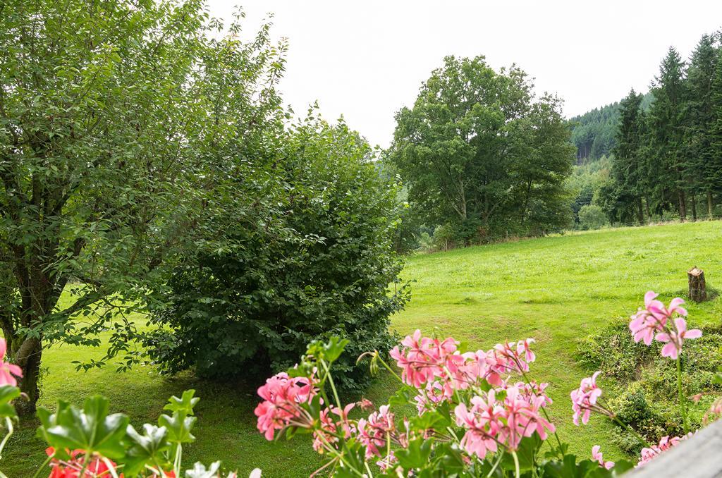Gasthof & Landhotel Ohrnbachtal Weilbach Eksteriør billede