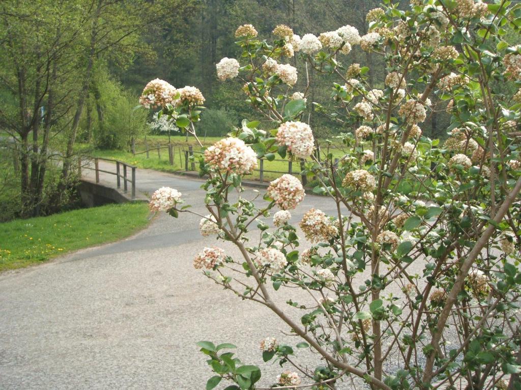 Gasthof & Landhotel Ohrnbachtal Weilbach Eksteriør billede